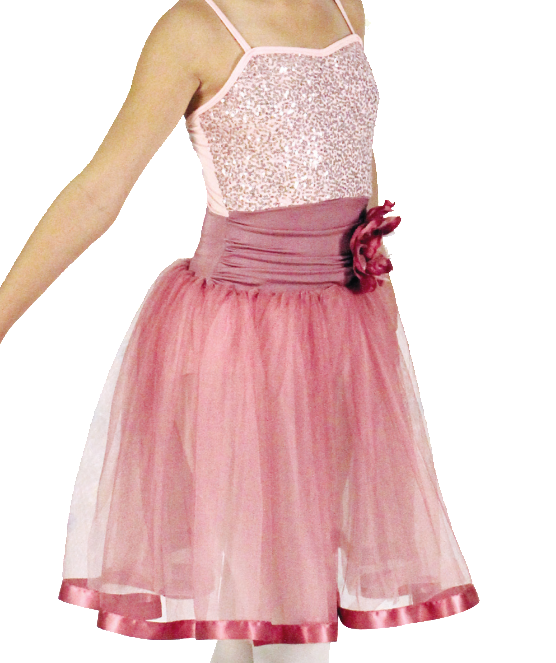 Raspberry Sorbet Costume