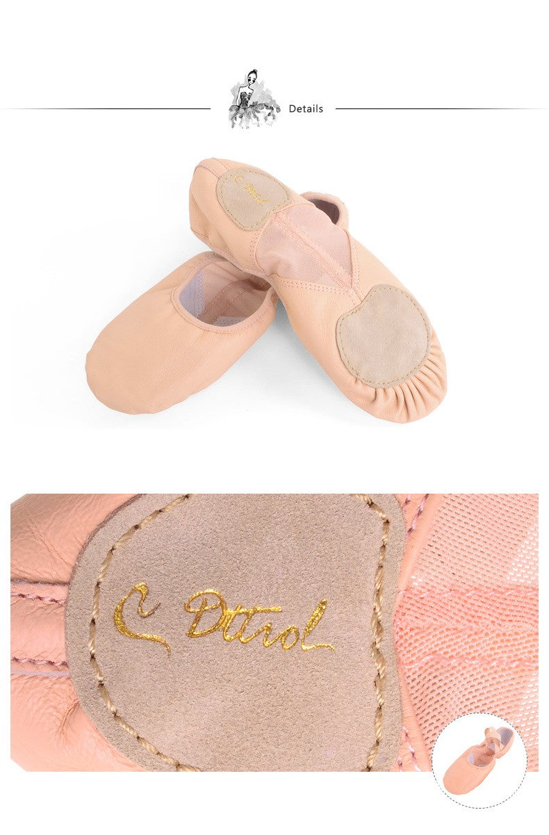 Professional Mesh Ballets