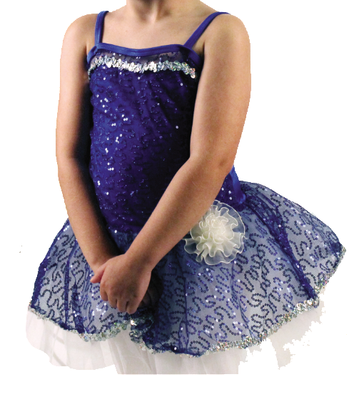 Starry Night Costume