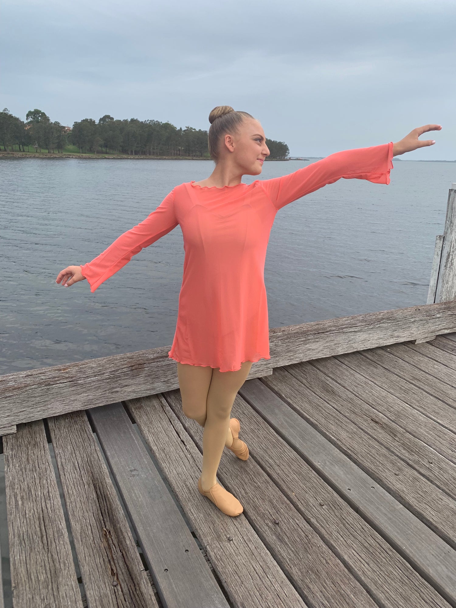 Paris Mesh Dress Apricot