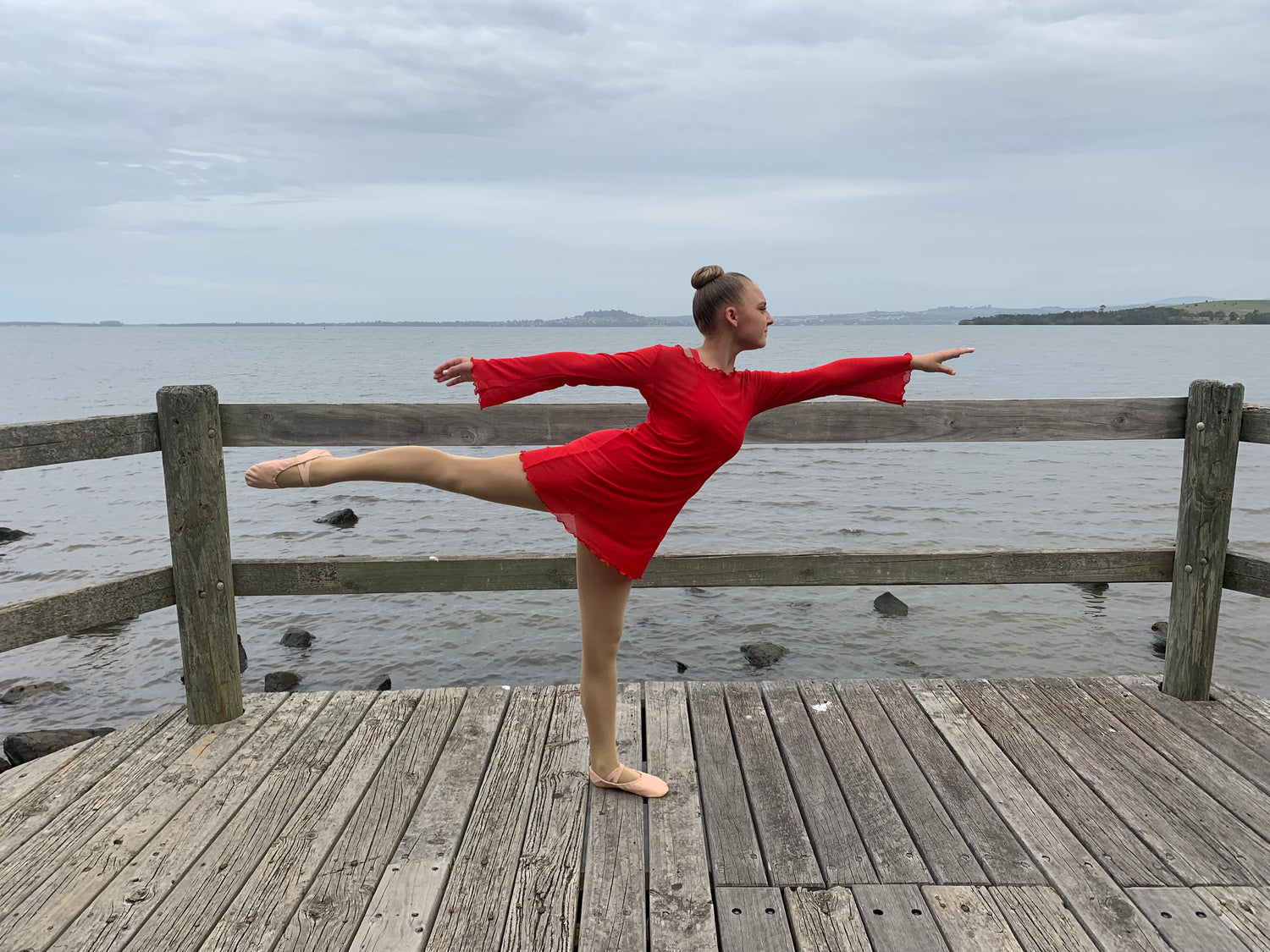 Paris Mesh Dress Red